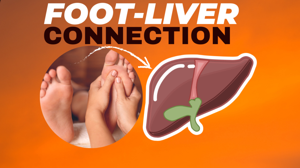 foot and liver connection, We're going to utilise the foot to diagnose the liver today