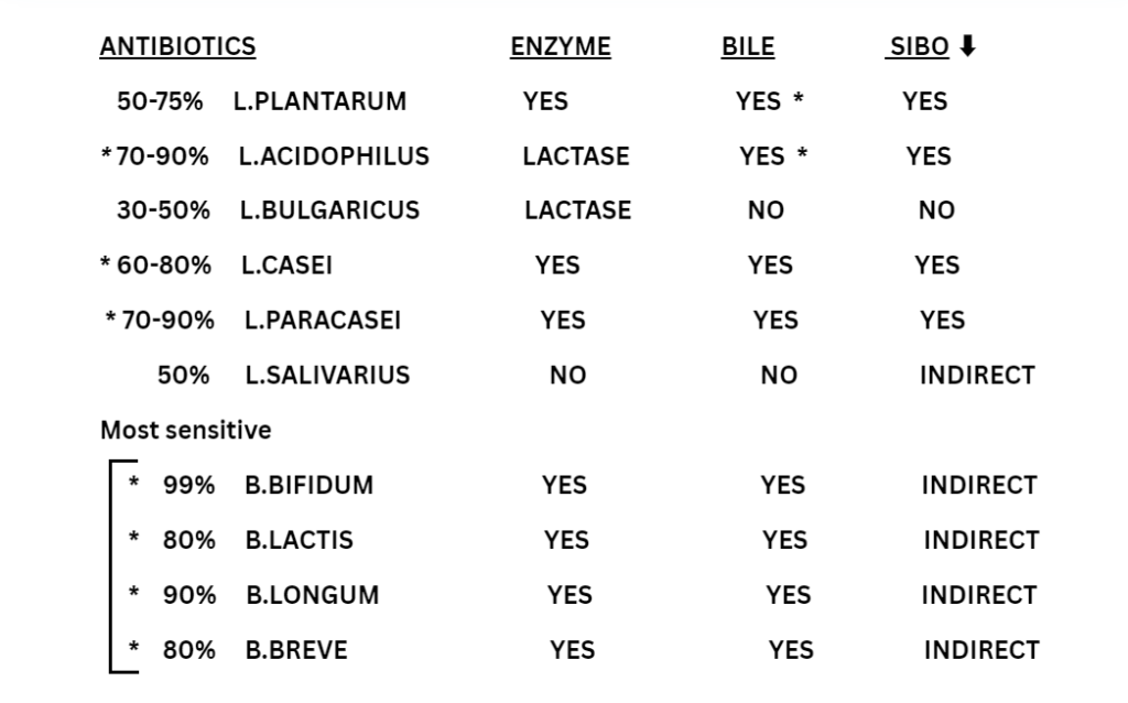 MICROBES THAT AFFECT BLOATING AND DIGESTION