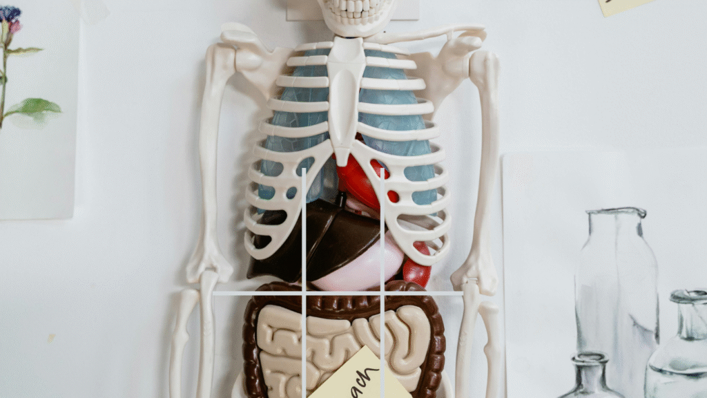 Abdominal Pain